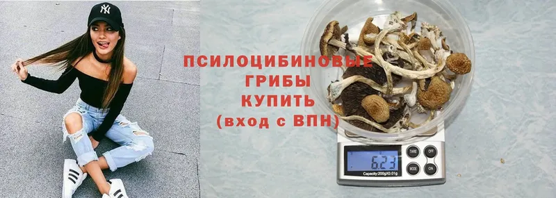 продажа наркотиков  Карпинск  Псилоцибиновые грибы Magic Shrooms 